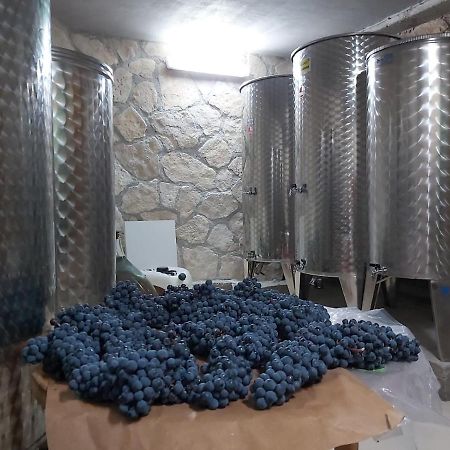 Apartman Genova Imotski Donji Vinjani 外观 照片